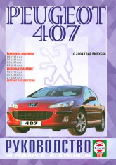 Peugeot 407  2004 ..   ,    .
